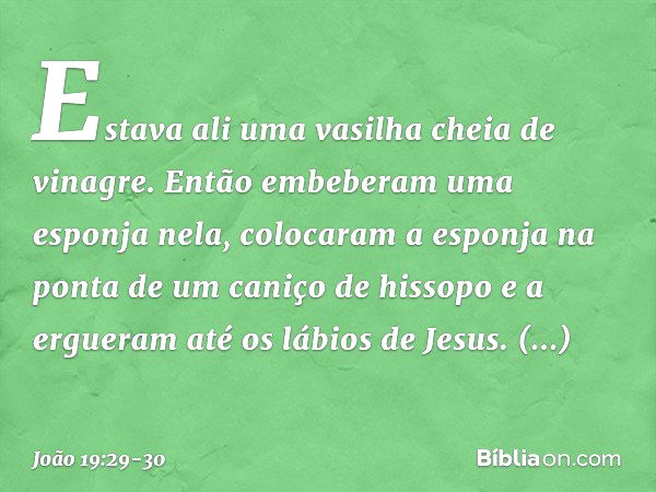 Estava ali uma vasilha cheia de vinagre. Então embeberam uma esponja nela, colocaram a esponja na ponta de um caniço de hissopo e a ergueram até os lábios de Je