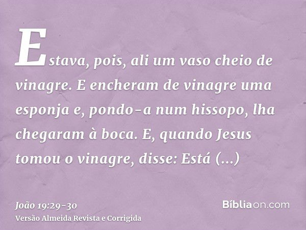 Estava, pois, ali um vaso cheio de vinagre. E encheram de vinagre uma esponja e, pondo-a num hissopo, lha chegaram à boca.E, quando Jesus tomou o vinagre, disse