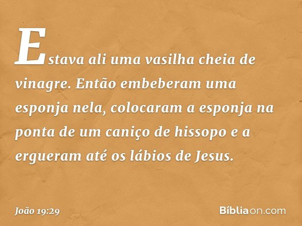 Estava ali uma vasilha cheia de vinagre. Então embeberam uma esponja nela, colocaram a esponja na ponta de um caniço de hissopo e a ergueram até os lábios de Je