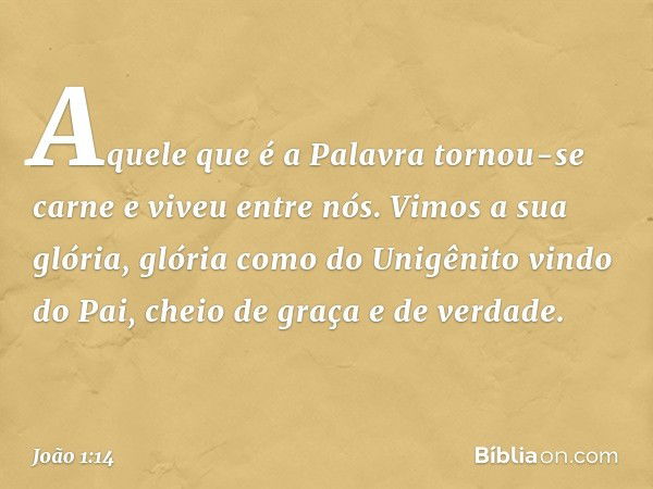 Aquele que é a Palavra tornou-se carne e viveu entre nós. Vimos a sua glória, glória como do Unigênito vindo do Pai, cheio de graça e de verdade. -- João 1:14