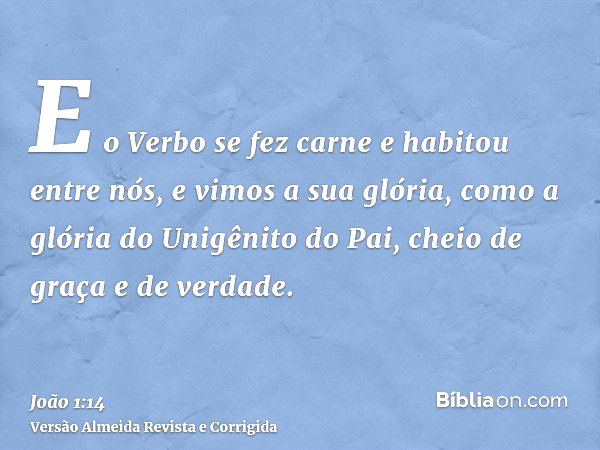 João 1:14 (O verbo se fez carne e habitou entre nós) - Bíblia