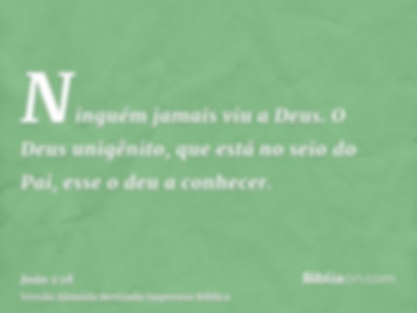 Ninguém jamais viu a Deus. O Deus unigênito, que está no seio do Pai, esse o deu a conhecer.