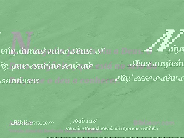 Ninguém jamais viu a Deus. O Deus unigênito, que está no seio do Pai, esse o deu a conhecer.