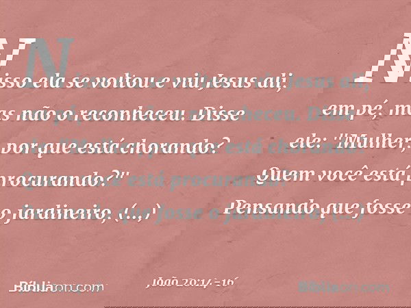 Nisso ela se voltou e viu Jesus ali, em pé, mas não o reconheceu. Disse ele: "Mulher, por que está chorando? Quem você está procurando?"
Pensando que fosse o ja