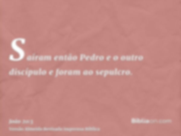 Saíram então Pedro e o outro discípulo e foram ao sepulcro.