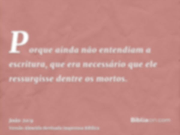 Porque ainda não entendiam a escritura, que era necessário que ele ressurgisse dentre os mortos.