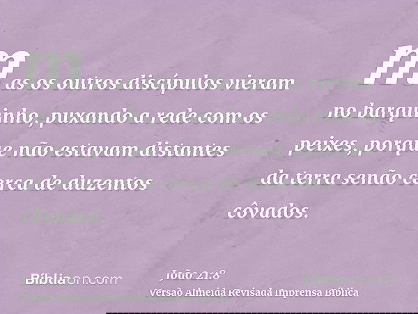 mas os outros discípulos vieram no barquinho, puxando a rede com os peixes, porque não estavam distantes da terra senão cerca de duzentos côvados.