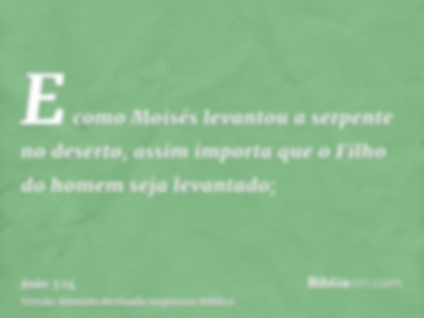 E como Moisés levantou a serpente no deserto, assim importa que o Filho do homem seja levantado;