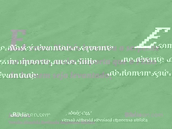 E como Moisés levantou a serpente no deserto, assim importa que o Filho do homem seja levantado;