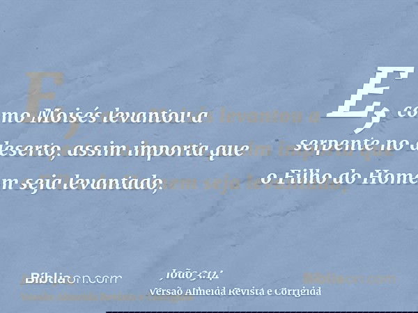 E, como Moisés levantou a serpente no deserto, assim importa que o Filho do Homem seja levantado,