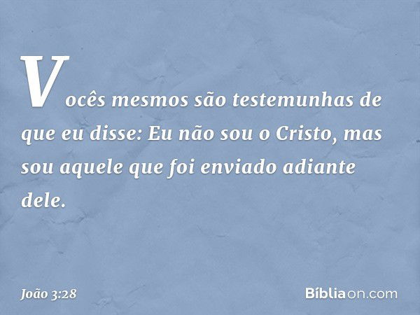 Vocês mesmos são testemunhas de que eu disse: Eu não sou o Cristo, mas sou aquele que foi enviado adiante dele. -- João 3:28