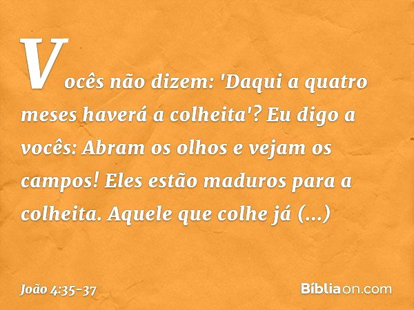 Vocês não dizem: 'Daqui a quatro meses haverá a colheita'? Eu digo a vocês: Abram os olhos e vejam os campos! Eles estão maduros para a colheita. Aquele que col