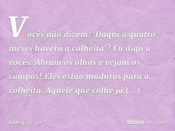 Vocês não dizem: 'Daqui a quatro meses haverá a colheita'? Eu digo a vocês: Abram os olhos e vejam os campos! Eles estão maduros para a colheita. Aquele que col