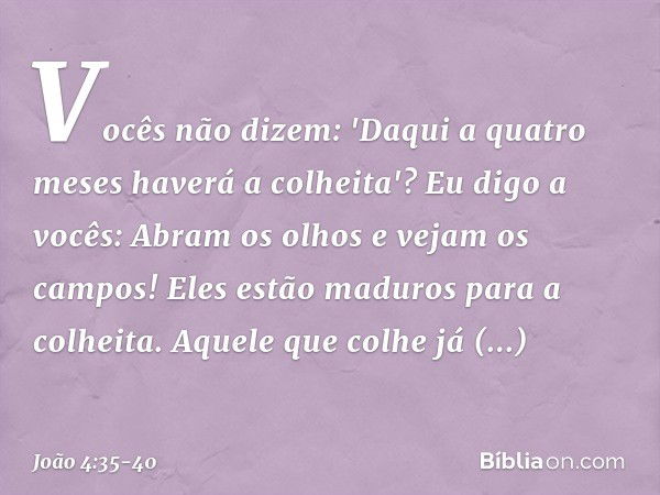 Vocês não dizem: 'Daqui a quatro meses haverá a colheita'? Eu digo a vocês: Abram os olhos e vejam os campos! Eles estão maduros para a colheita. Aquele que col