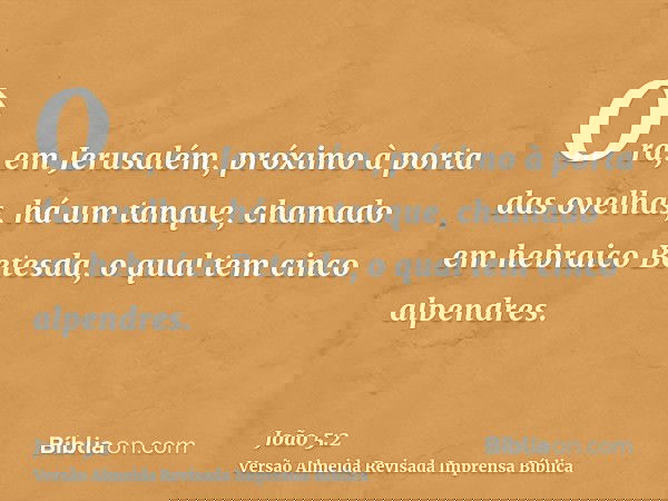 Ora, em Jerusalém, próximo à porta das ovelhas, há um tanque, chamado em hebraico Betesda, o qual tem cinco alpendres.
