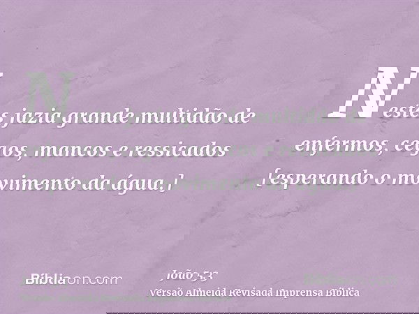 Nestes jazia grande multidão de enfermos, cegos, mancos e ressicados [esperando o movimento da água.]