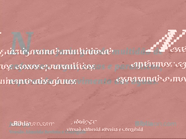 Nestes jazia grande multidão de enfermos: cegos, coxos e paralíticos, esperando o movimento das águas.