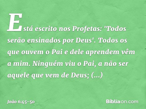 Está escrito nos Profetas: 'Todos serão ensinados por Deus'. Todos os que ouvem o Pai e dele aprendem vêm a mim. Ninguém viu o Pai, a não ser aquele que vem de 