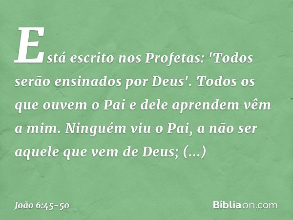 Está escrito nos Profetas: 'Todos serão ensinados por Deus'. Todos os que ouvem o Pai e dele aprendem vêm a mim. Ninguém viu o Pai, a não ser aquele que vem de 