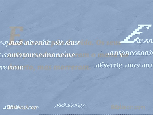 Eu sou o pão da vida. Os seus antepassados comeram o maná no deserto, mas morreram. -- João 6:48-49