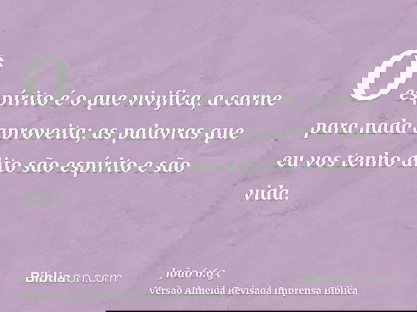 O espírito é o que vivifica, a carne para nada aproveita; as palavras que eu vos tenho dito são espírito e são vida.
