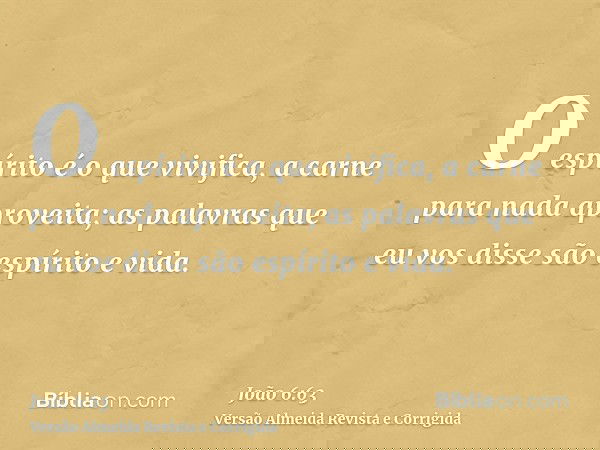 O espírito é o que vivifica, a carne para nada aproveita; as palavras que eu vos disse são espírito e vida.
