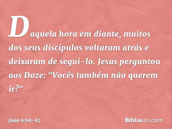 Lista dos próximos Episódios: 670 a 673 – portalpieceoficial