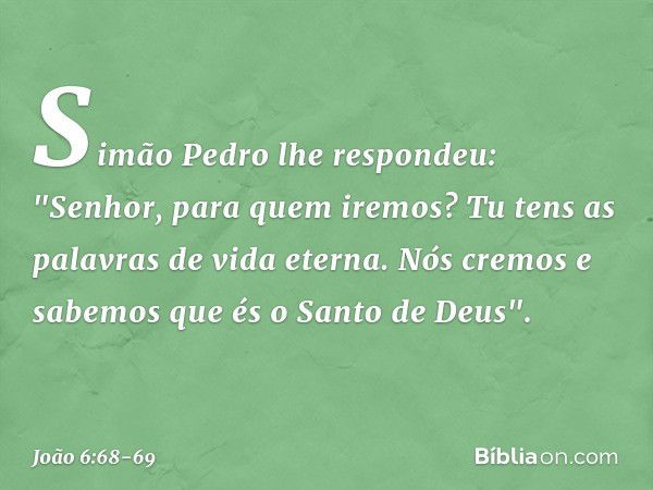 Simão Pedro lhe respondeu: "Senhor, para quem iremos? Tu tens as palavras de vida eterna. Nós cremos e sabemos que és o Santo de Deus". -- João 6:68-69