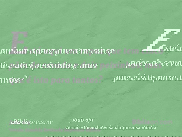 Está aqui um rapaz que tem cinco pães de cevada e dois peixinhos; mas que é isto para tantos?
