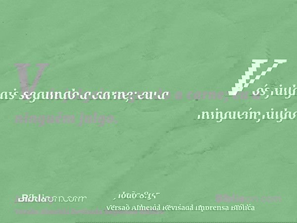 Vós julgais segundo a carne; eu a ninguém julgo.
