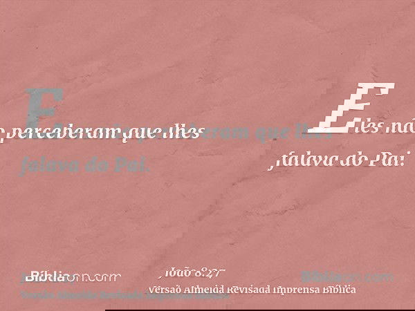 Eles não perceberam que lhes falava do Pai.