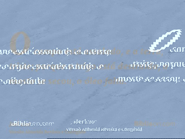 O campo está assolado, e a terra, triste; porque o trigo está destruído, o mosto se secou, o óleo falta.