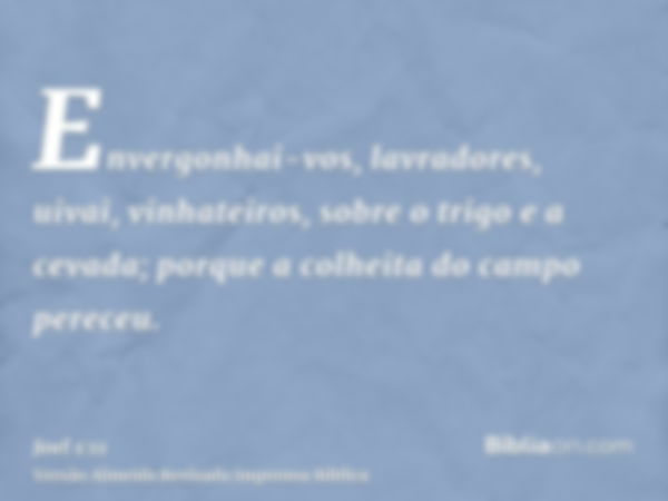 Envergonhai-vos, lavradores, uivai, vinhateiros, sobre o trigo e a cevada; porque a colheita do campo pereceu.