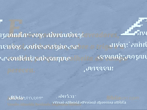 Envergonhai-vos, lavradores, uivai, vinhateiros, sobre o trigo e a cevada; porque a colheita do campo pereceu.
