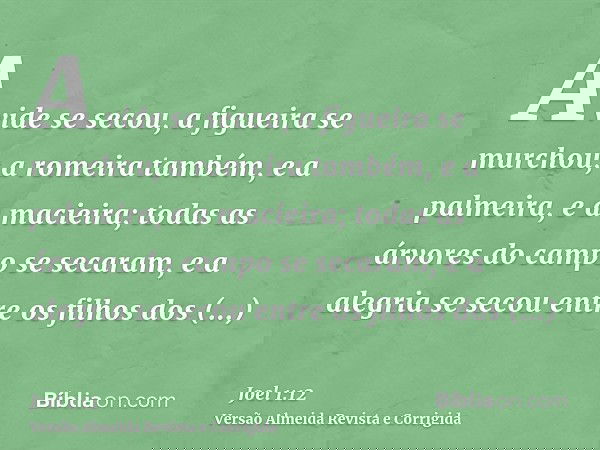 A vide se secou, a figueira se murchou; a romeira também, e a palmeira, e a macieira; todas as árvores do campo se secaram, e a alegria se secou entre os filhos