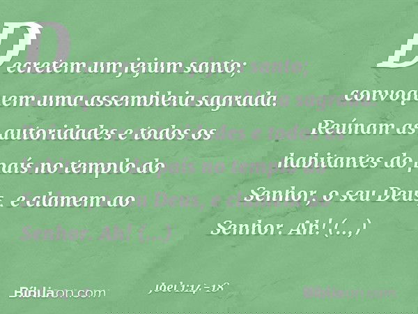 Decretem um jejum santo;
convoquem uma assembleia sagrada.
Reúnam as autoridades
e todos os habitantes do país
no templo do Senhor, o seu Deus,
e clamem ao Senh