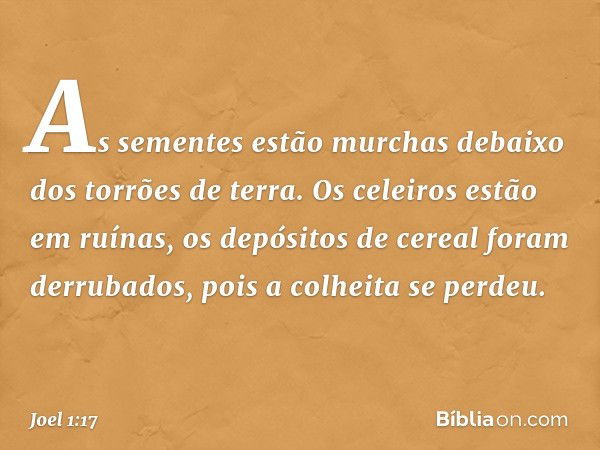 As sementes estão murchas
debaixo dos torrões de terra.
Os celeiros estão em ruínas,
os depósitos de cereal foram derrubados,
pois a colheita se perdeu. -- Joel