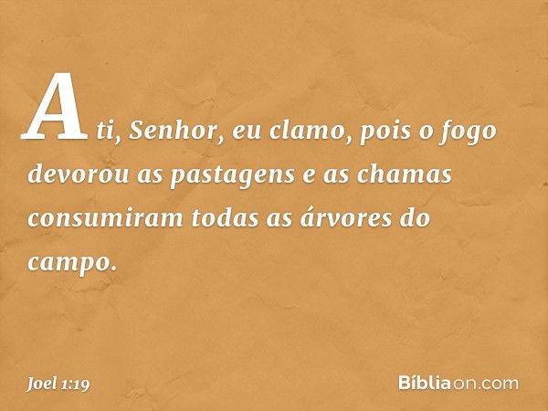 A ti, Senhor, eu clamo,
pois o fogo devorou as pastagens
e as chamas consumiram
todas as árvores do campo. -- Joel 1:19