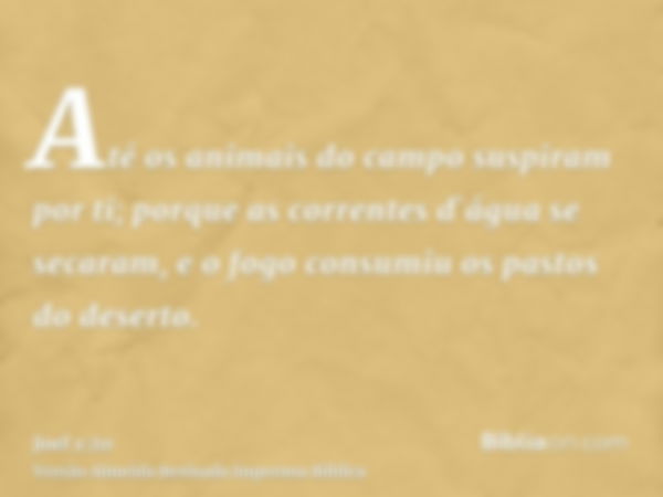 Até os animais do campo suspiram por ti; porque as correntes d`água se secaram, e o fogo consumiu os pastos do deserto.