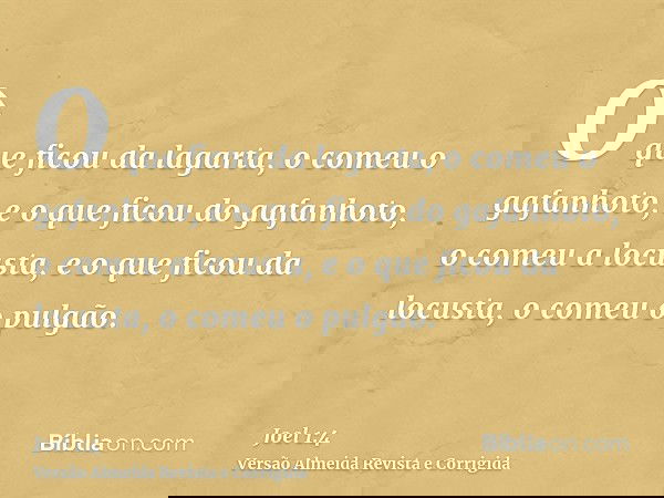 O que ficou da lagarta, o comeu o gafanhoto, e o que ficou do gafanhoto, o comeu a locusta, e o que ficou da locusta, o comeu o pulgão.