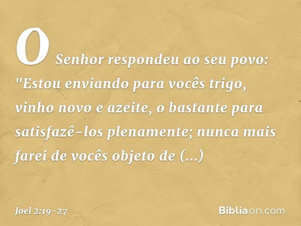 O Senhor respondeu ao seu povo:
"Estou enviando para vocês trigo,
vinho novo e azeite,
o bastante
para satisfazê-los plenamente;
nunca mais farei de vocês
objet