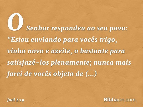 O Senhor respondeu ao seu povo:
"Estou enviando para vocês trigo,
vinho novo e azeite,
o bastante
para satisfazê-los plenamente;
nunca mais farei de vocês
objet