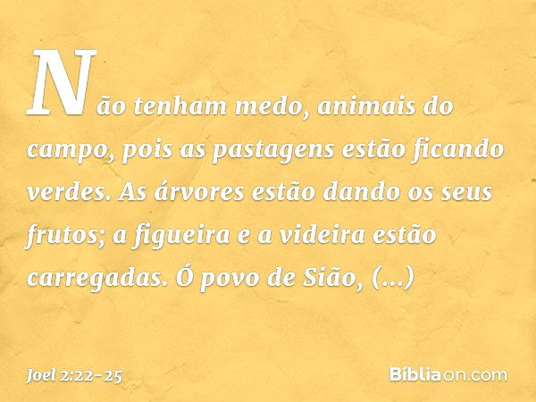 Não tenham medo, animais do campo,
pois as pastagens estão ficando verdes.
As árvores estão dando os seus frutos;
a figueira e a videira
estão carregadas. Ó pov