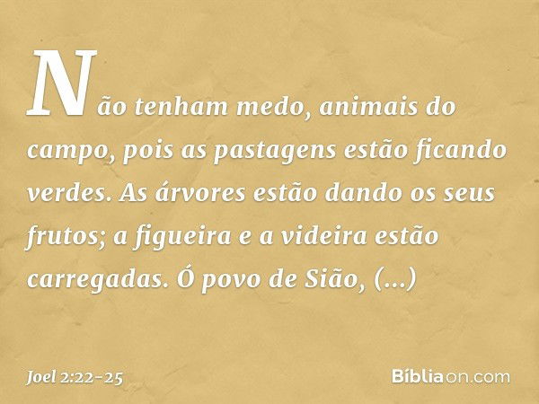 Não tenham medo, animais do campo,
pois as pastagens estão ficando verdes.
As árvores estão dando os seus frutos;
a figueira e a videira
estão carregadas. Ó pov