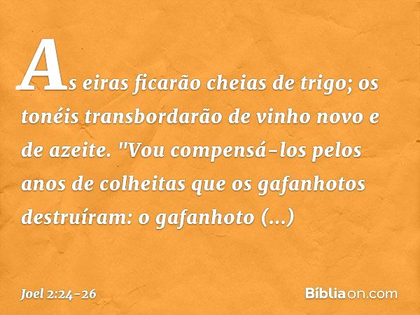 As eiras ficarão cheias de trigo;
os tonéis transbordarão
de vinho novo e de azeite. "Vou compensá-los
pelos anos de colheitas
que os gafanhotos destruíram:
o g