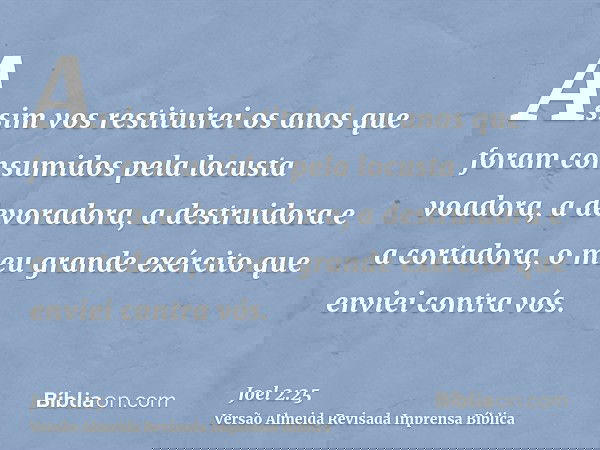 Assim vos restituirei os anos que foram consumidos pela locusta voadora, a devoradora, a destruidora e a cortadora, o meu grande exército que enviei contra vós.