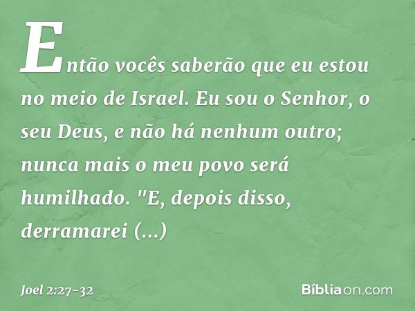 Então vocês saberão
que eu estou no meio de Israel.
Eu sou o Senhor, o seu Deus,
e não há nenhum outro;
nunca mais o meu povo será humilhado. "E, depois disso,
