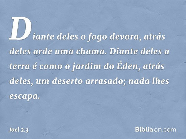 Diante deles o fogo devora,
atrás deles arde uma chama.
Diante deles a terra
é como o jardim do Éden,
atrás deles, um deserto arrasado;
nada lhes escapa. -- Joe