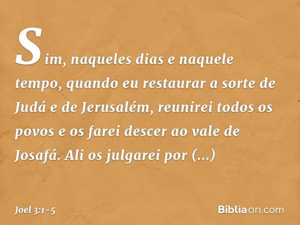 "Sim, naqueles dias e naquele tempo,
quando eu restaurar a sorte
de Judá e de Jerusalém, reunirei todos os povos
e os farei descer ao vale de Josafá.
Ali os jul