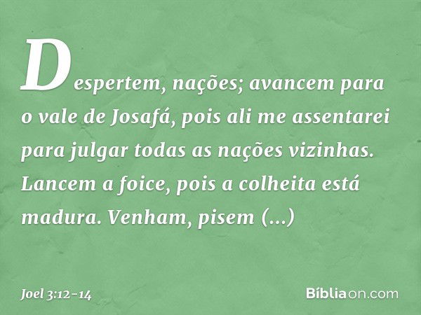 "Despertem, nações;
avancem para o vale de Josafá,
pois ali me assentarei
para julgar todas as nações vizinhas. Lancem a foice,
pois a colheita está madura.
Ven